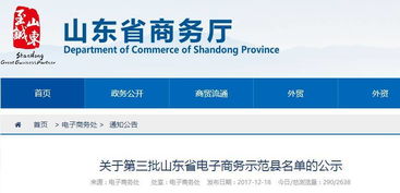 德州再添電商新星 某縣躋身省級示范，雙十一交易額突破三千萬