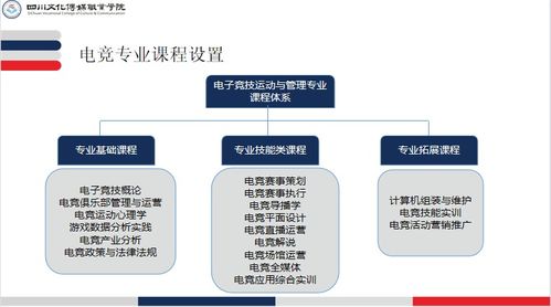 電子競(jìng)技運(yùn)動(dòng)與管理專(zhuān)業(yè)介紹 電子商務(wù)平臺(tái)開(kāi)發(fā)及運(yùn)營(yíng)方向
